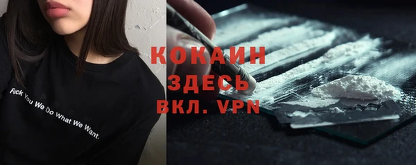 твердый Аркадак