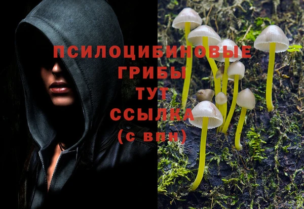 твердый Аркадак