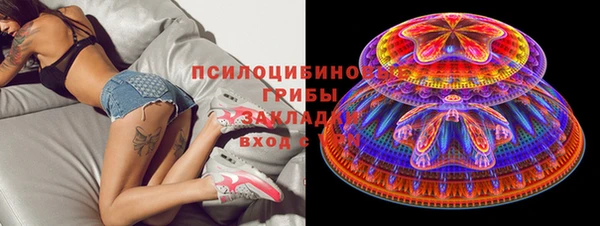твердый Аркадак
