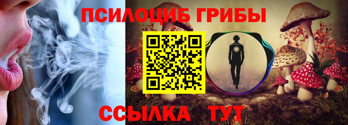 Псилоцибиновые грибы Cubensis Дюртюли