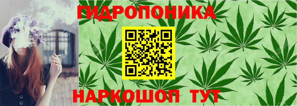 Бошки Шишки Amnesia  Марихуана план  Дюртюли  Вход с VPN  Канабис гибрид 
